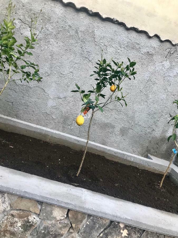 Le Due Porte Maiori Kültér fotó
